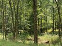 1587 Aragon Beach Road 6 sold home in Rock Hill, SC