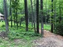 1060 Wash Freeman Road sold home in Hendersonville, SC
