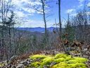 342 High Hickory Trail Trail 19 sold home in Swannanoa, SC