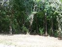 400 Williamsfield Drive sold home in Shelby, SC