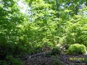 Lot 83 Rowland Drive sold home in Laurel Park, SC