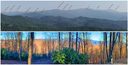 2702 Creston Drive T-28 sold home in Black Mountain, SC