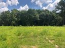 840 Angels Peak Drive sold home in Rock Hill, SC
