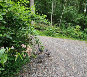 99999 Caperton Point Road 14 sold home in Laurel Acres, Swannanoa, NC