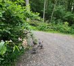 99999 Caperton Point Road 14 sold home in Swannanoa, SC