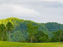 Lot 18 Turkey Ridge Road sold home in Fletcher, SC