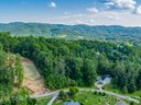 78 Hawtree Court 263 sold home in Weaverville, SC