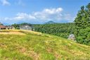 19 Alaskan Drive 11b sold home in Leicester, SC