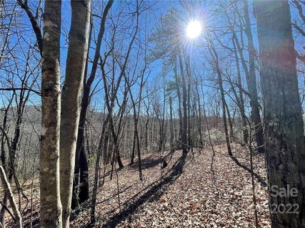 37 Acres Sand Branch Road sold land listing in Dill Trust, Black Mountain, NC