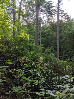 Lot 17 Rock Creek Trail Road