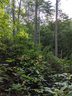 Lot 17 Rock Creek Trail Road sold home in Brevard, SC