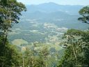 5 Bear Track Trail sold home in Maggie Valley, SC