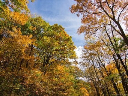 9999 Eagle Bald Trail 29 & 30