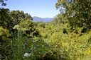 20 Tanner Trail sold home in Waynesville, SC
