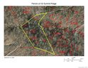 0000 Summit Ridge Drive 32 sold home in Waynesville, SC