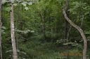 0000 Summit Ridge Drive 31 sold home in Waynesville, SC