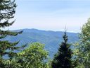 4406 Greenspire Drive sold home in Sylva, SC