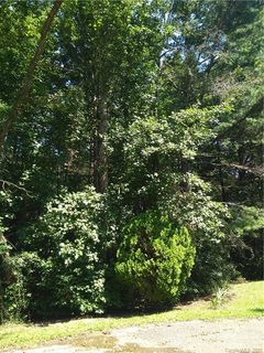 3610 Bridle Path Drive 9/B sold lot in CRABTREE MEADOWS, Vale, NC