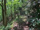 Tract 12 B Pickens Highway 12-B sold home in Rosman, SC