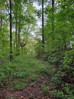 000 Bear Creek Lane sold land listing in Bear Creek, Saluda, NC