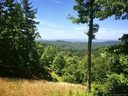 0 Firecrest Lane 515 sold home in Lenoir, SC