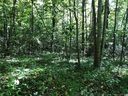 1 14 Ac Of Lot 79 Haven Drive sold home in Saluda, SC