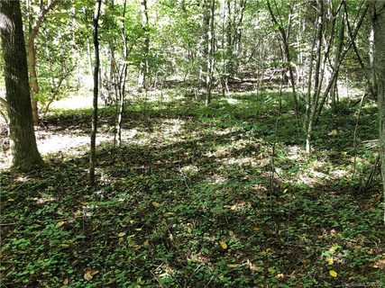 1 60 Ac Of Lot 79 Haven Drive LOT B sold home in Lake Sheila, Saluda, NC