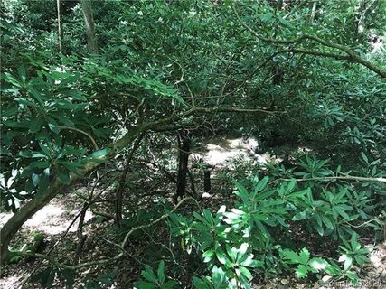 Tbd Nors Way 34 sold home in Indian Head Acres, Lake Lure, NC