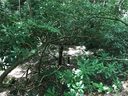 Tbd Nors Way 34 sold home in Lake Lure, SC