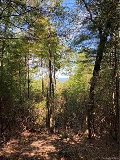 Lot 601 Lost Mine Trail