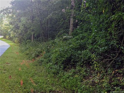 Lot 33 Black Bear Trail
