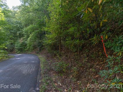 00 Wildflower Cove Road 18