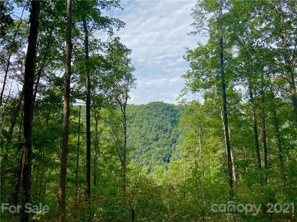 1225 Wild River Run 28