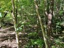 Lot 15 Eastatoe Gap Road sold home in Rosman, SC