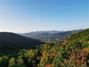 1250 Arborcrest Way 43 sold home in Swannanoa, SC