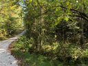 85 Pelican Lane Map 552, B l3, Lot 65 sold home in Lake Lure, SC