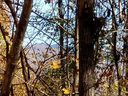 Qq Bear Springs Road LOT QQ sold home in Bakersville, SC