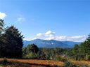 0 Boulder Ridge None Lot 60 sold home in Lake Lure, SC