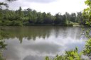 Lot 62 Shuttle Mill Crossing sold home in Lake Lure, SC