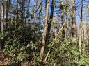 0 Willow Lake Drive 21 sold home in Hendersonville, SC