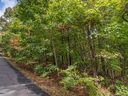 569 Glen Echo Circle sold home in Saluda, SC