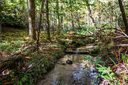 Tdb Fern Cove Lane 27 sold home in Pisgah Forest, SC