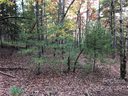 J111 Mulberry Circle sold home in Brevard, SC
