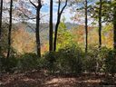 Tbd Red Maple Lane 7 sold home in Pisgah Forest, SC