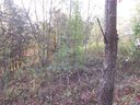 532 Sky Ridge Drive sold home in Leicester, SC