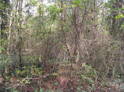 Lot 110 Archie Lane