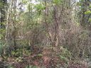 Lot 110 Archie Lane sold home in Monroe, SC