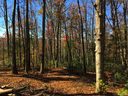 Lot W1 Curtain Bluff None sold home in Hendersonville, SC
