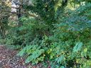 Lot 5 Brookwood Court sold home in Statesville, SC