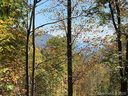 Lot 70 Grand Oaks Drive sold home in Hendersonville, SC